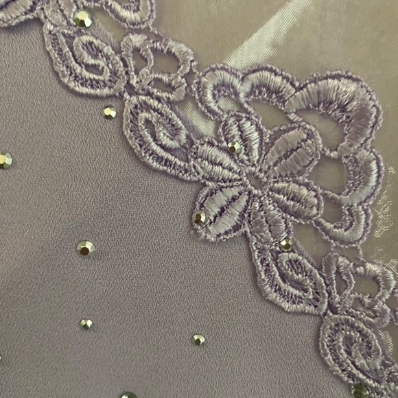 Sheer Elegant Jacket - Picture 2 of 6